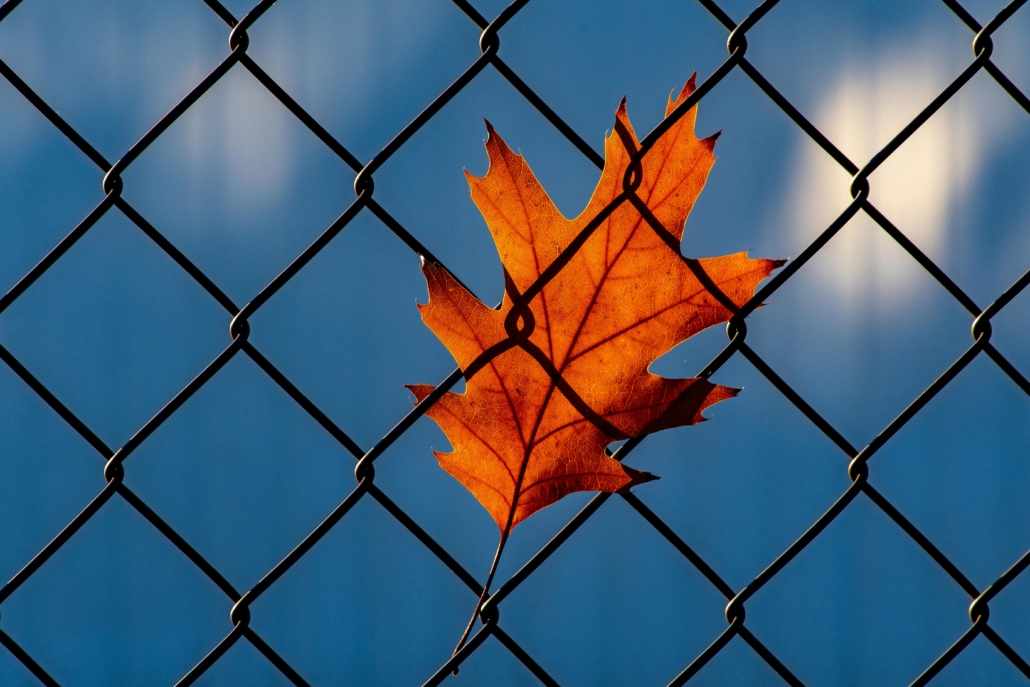 Many victims feel like a leaf caught in the barriers to healing they create. 